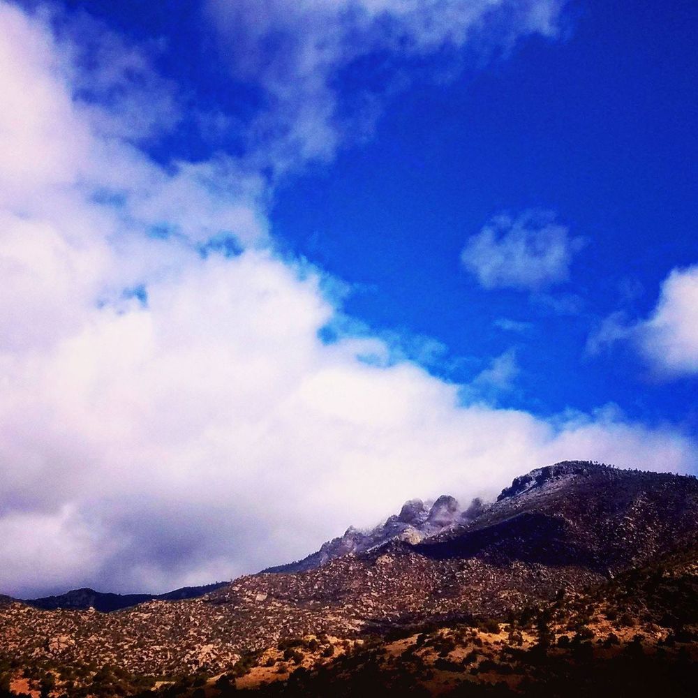 Meet your Posher, Knau